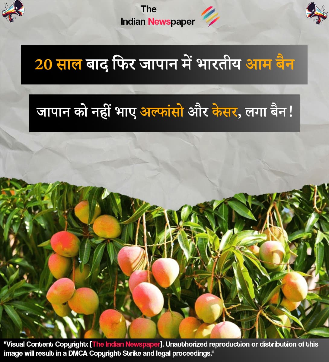 20 साल बाद फिर वही इतिहास! जापान ने भारत के अल्फांसो और केसर आम की एंट्री पर लगाई रोक