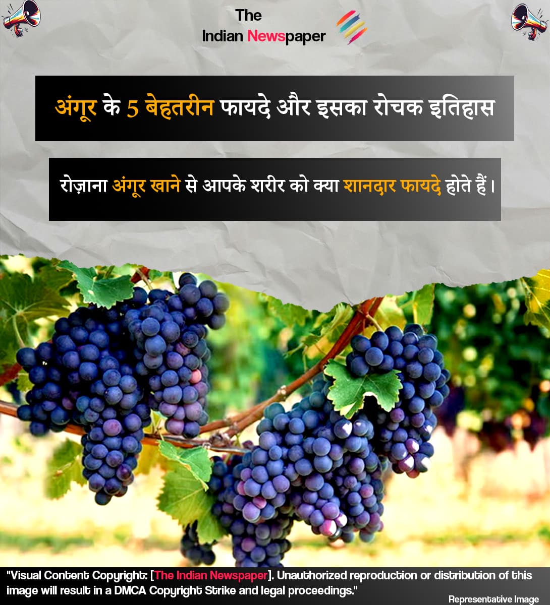 स्वाद और सेहत का खजाना: अंगूर के 5 बेहतरीन फायदे और इसका रोचक इतिहास