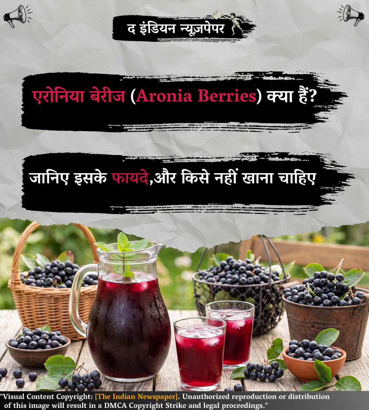 एरोनिया बेरीज (Aronia Berries): फायदे, पोषण और सावधानियां