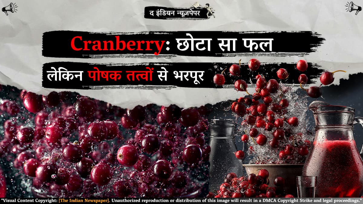 Cranberry: छोटा सा फल, लेकिन पोषक तत्वों से भरपूर