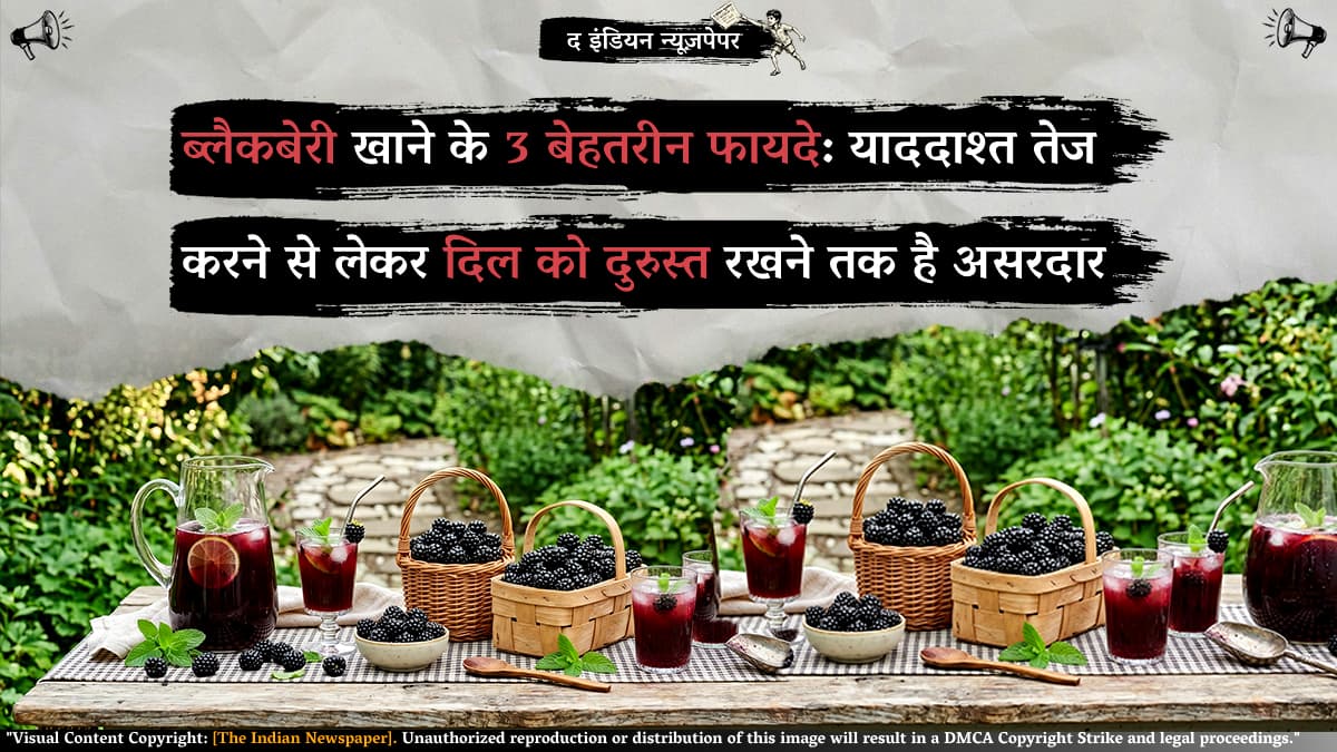 ब्लैकबेरी खाने के 3 बेहतरीन फायदे: याददाश्त तेज करने से लेकर दिल को दुरुस्त रखने तक है असरदार