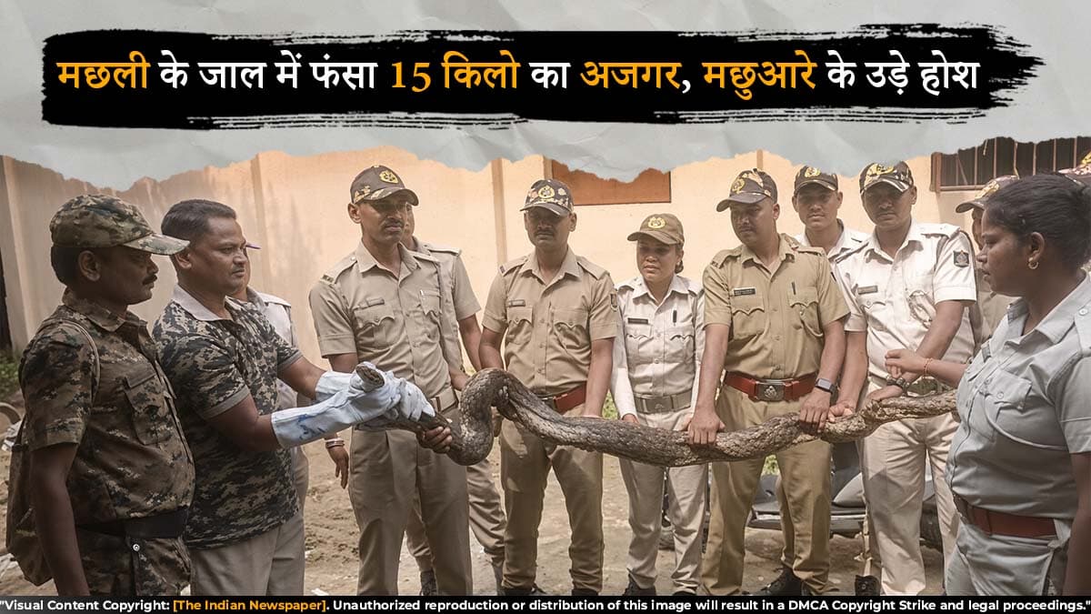 मछली के जाल में फंसा 15 किलो का अजगर, मछुआरे के उड़े होश; वन विभाग ने किया रेस्क्यू